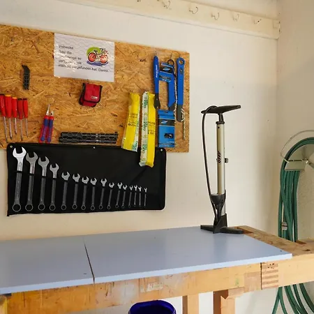 체사 스푸온다스