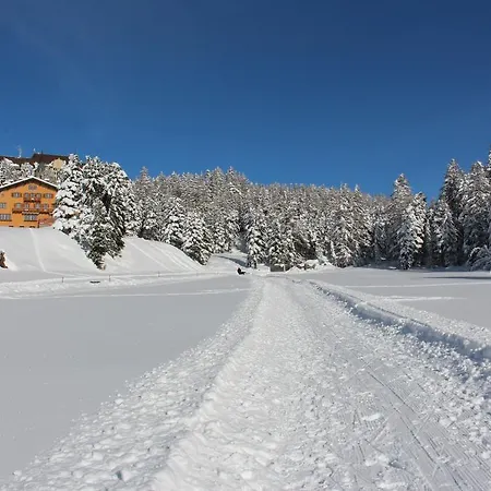 체사 스푸온다스